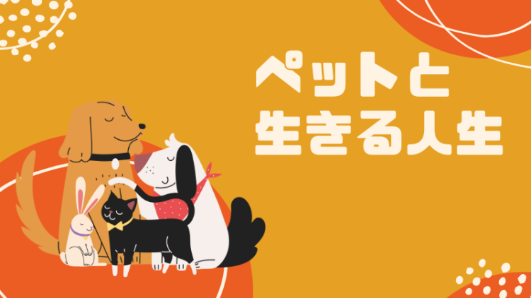 カワイイがいっぱい！ワンダーランド